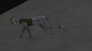 История моей ос .......