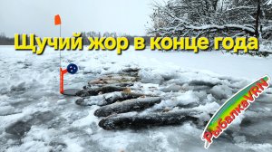 Последняя рыбалка в 2025м.