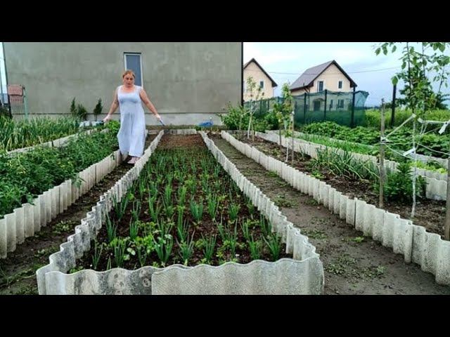 Ваша Огородница на Месте ))) Всем Огородникам Привет /// Поездка в Школу /// смотреть онлайн