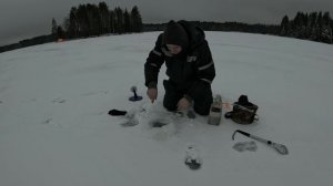 рыбалка на диком лесном озере