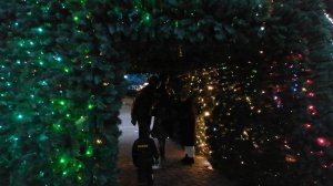 Краснодар. Шурик и Лида под ёлочкой.