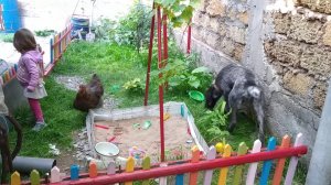 Ответ на викторину