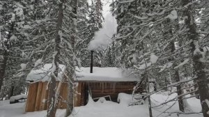 -30°С в глухой тайге. Такой зимний лес вы ещё не видели.