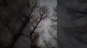 Тын ТЫм гулять !!!!!!! Часть 2 ПРЕД НОВОГОДНЕЕ НАСТРОЕНИЕ !!!!!!!!!!