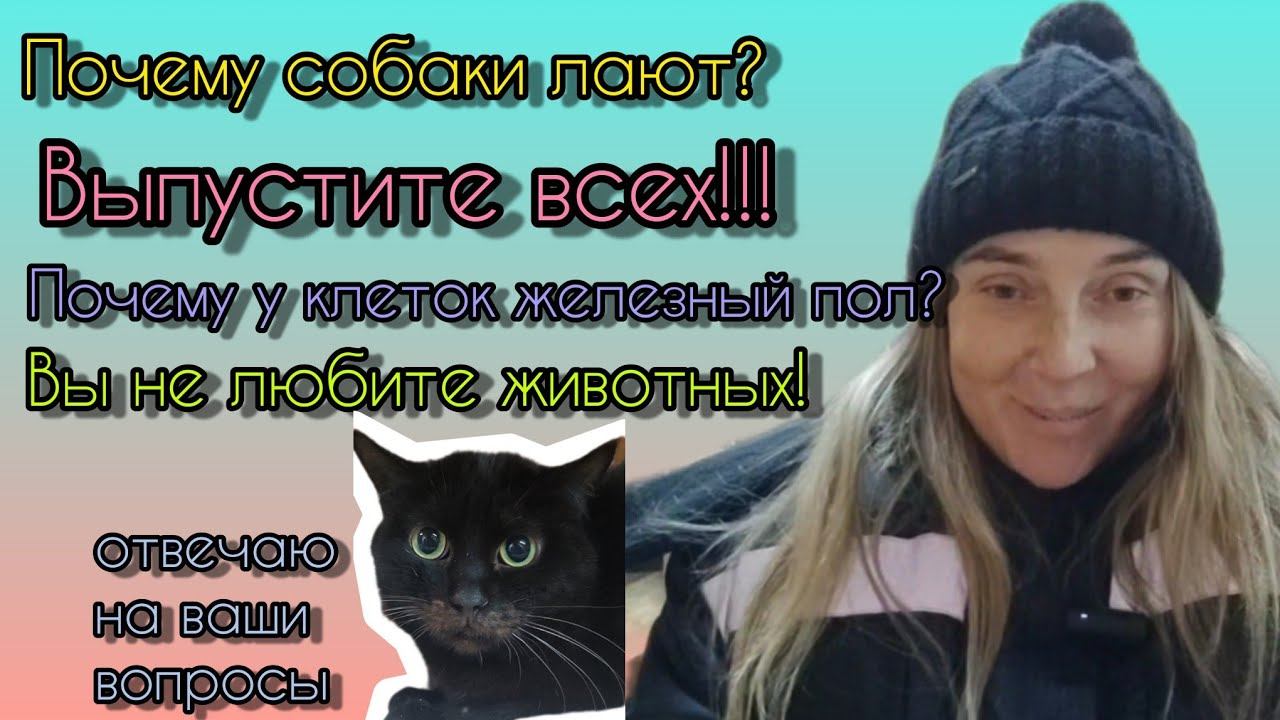Отвечаю на вопросы и комментарии🙀Комментирую комментаторов💯💃почему собачий лай🥲выпустите всех ☝️ смотреть онлайн
