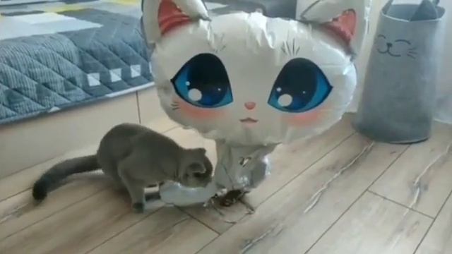 одна минута смеха смотреть онлайн