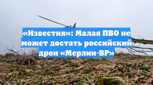 «Известия»: Малая ПВО не может достать российский дрон «Мерлин-ВР»