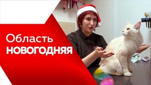 Область Новогодняя 2025