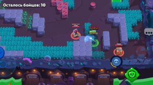 играю в бравл