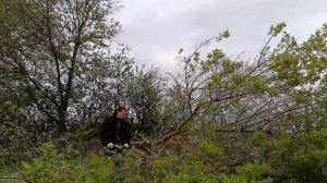 Пилю, рублю и очищаю местность под будущий сад и огород. Апрель 2024. часть 3