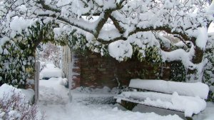 Наш двор 30.12.2025 г.