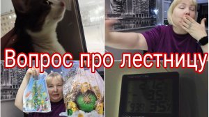 30-12-2025 Вопрос про лестницу на даче, падал ли кто-то * Снегом завалило * Снова подарки 🎄😍