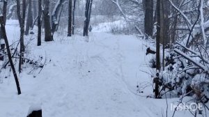 30 декабря 2025г
Тамбов  . Последняя тренировка в этом году.
Алексей 11 лет. 
Лёва 9 лет.