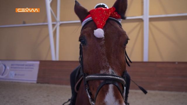 «Новогодняя программа». Выпуск 31 декабря 2025 смотреть онлайн