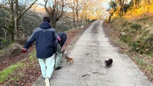 287. Люси сказала, кто ее раздражает, гуляем и готовим с Оливером.