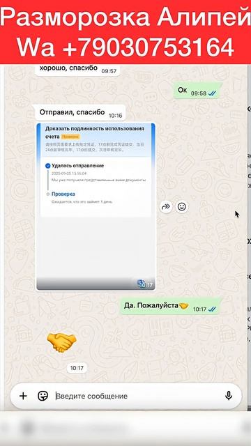 Документы не принимали решили вопрос АЛИПЕЙ #алипей #alipay смотреть онлайн