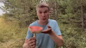 Пацаны и лесные грибочки.