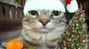 Играем в маинкрафт Part 12