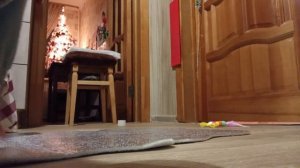 Подарочки к Новому году 🎄 для кошек и не только