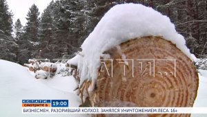 Сегодня в 19.00 в программе «Кстати»: Бизнесмен, разоривший колхоз, занялся уничтожением леса