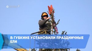 В Губкине установили праздничные ели