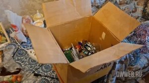 За 10 лет первый раз ставим елку! С Новым годом!