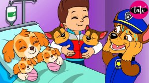 Щенячий патруль и Маршалл. Залипательное видео. Мультфильм для детей и малышей. Анимация 38