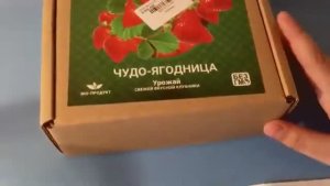 Как посадить клубнику дома_ Посадка семян из _чудо-ягодницы