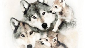 Семья Олег Юргаев