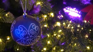 С Новым годом, Демидовский университет!