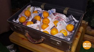 Чемодан мандаринов от Деда Мороза. Доброе утро. Фрагмент выпуска от 30.12.2025