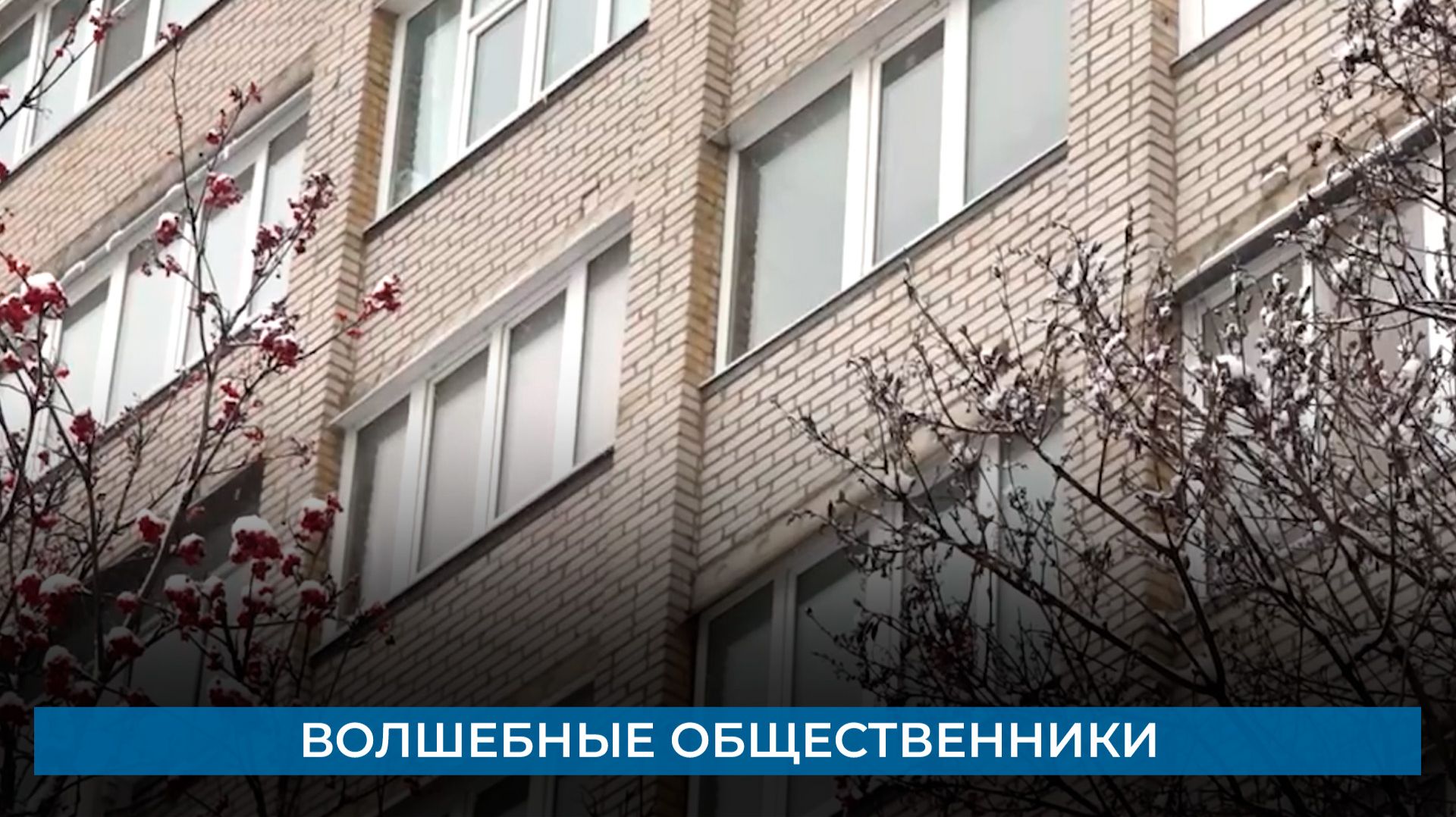 Волшебные общественники смотреть онлайн