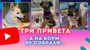 Кому Оливье, а кому бы выжить...