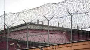 В ЛДПР хотят привлечь опеку при предоставлении отсрочки от наказания матерям