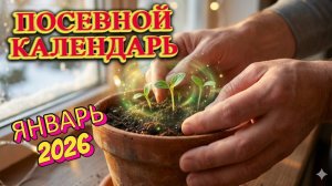 МОЩНАЯ РАССАДА. Лучшие дни для посева в Январе 2026. Лунный календарь!