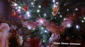 Где зародилась традиция украшать Ель? Чем раньше наряжали елку. История.