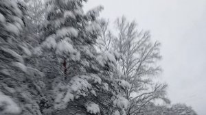 Дорога в Пржевальское