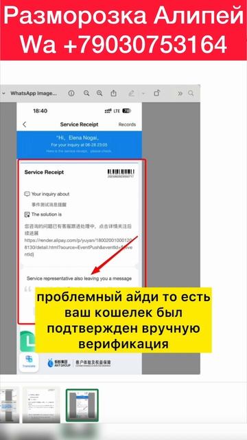 Как помогли с верификацией Алипей пользователям СНГ #алипей #alipay смотреть онлайн
