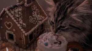 Съемки. | Остальное в закрепе.