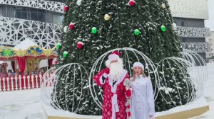 Поздравление с Новым 2026 годом!