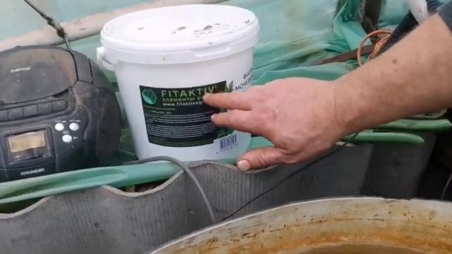 Что делать за сутки до посева томата? ТорфЯчейки для посева Ph воды