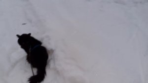 На прогулке.