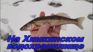 На Химкинском водохранилище 30.12.2025