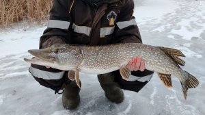 Самара, зимняя рыбалка, р. Сок 28.12.2025