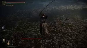 Elden Ring какой-то левый забег НГ1 (побили Малению)