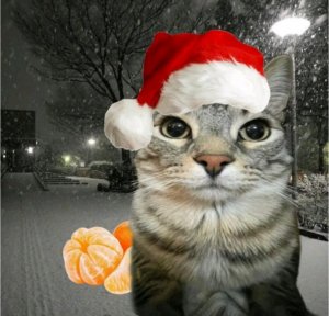 распаковка конфет