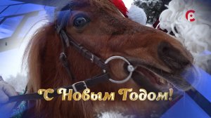 Морковный патруль