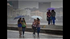 В Португалии дождь является уважительной причиной не выходить на работу.