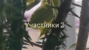 итоги 1 конкурса.