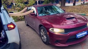 Озонирование, удаление запахов.